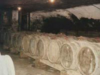 Cave viticulteur Boulet David